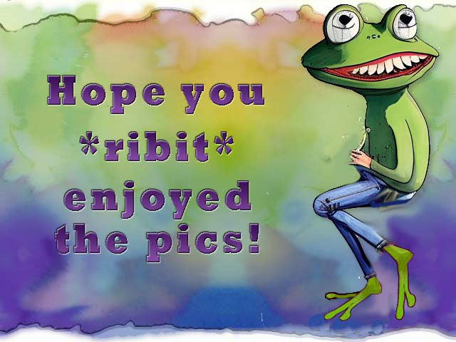 Thanks for Watching!